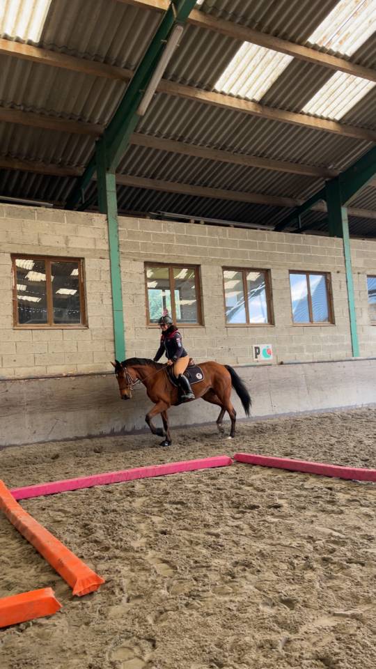 ? &Agrave; VENDRE &ndash; Superbe ponette de 7 ans &ndash; 1m49 ferr&eacute; &ndash; C