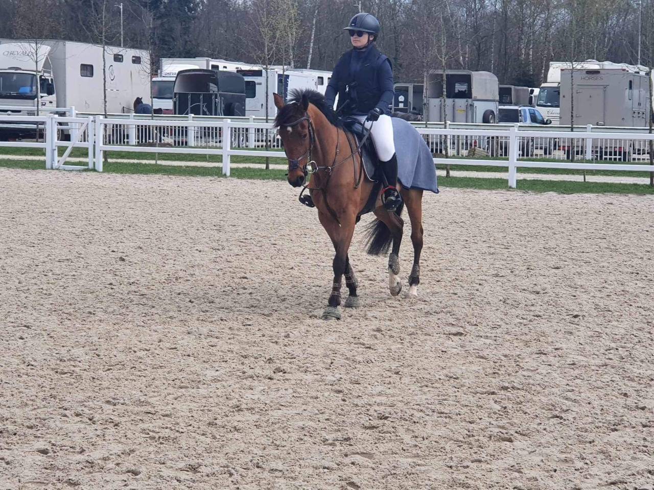 ? &Agrave; VENDRE &ndash; Superbe ponette de 7 ans &ndash; 1m49 ferr&eacute; &ndash; C
