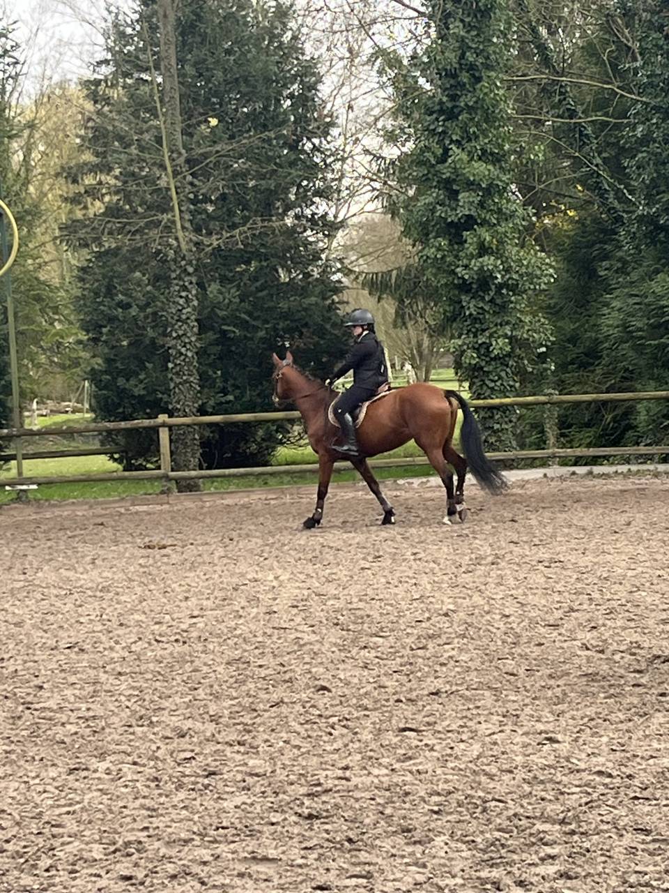 ? &Agrave; VENDRE &ndash; Superbe ponette de 7 ans &ndash; 1m49 ferr&eacute; &ndash; C