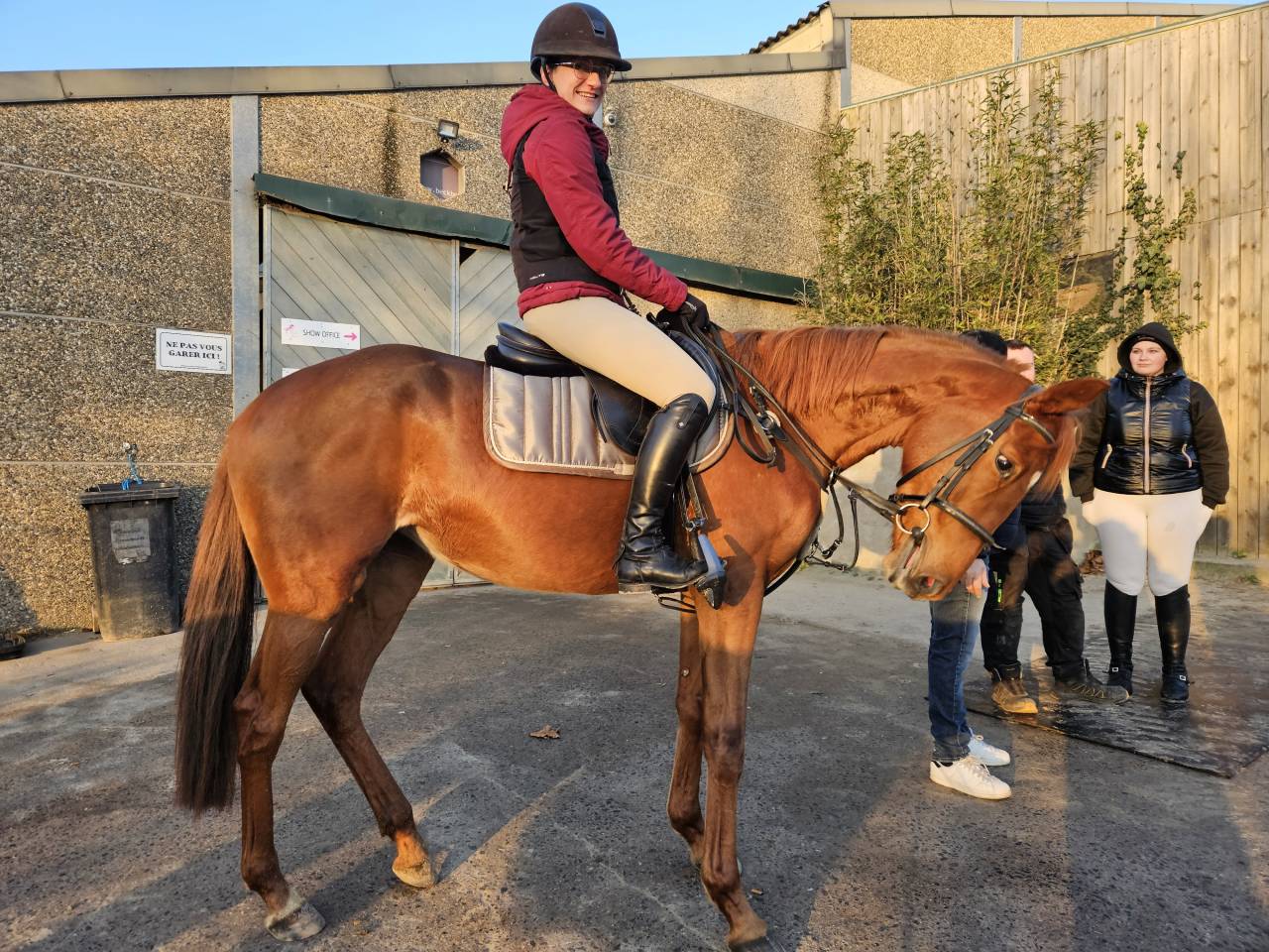 Jument AQPS 4ans 160cm - sport et loisir