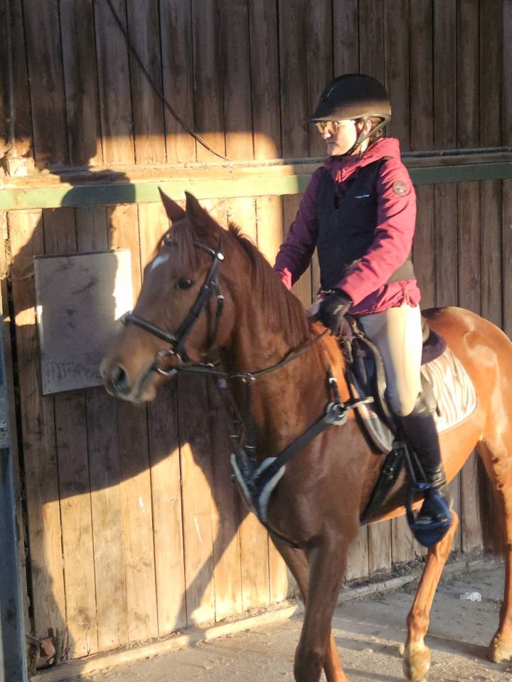 Jument AQPS 4ans 160cm - sport et loisir