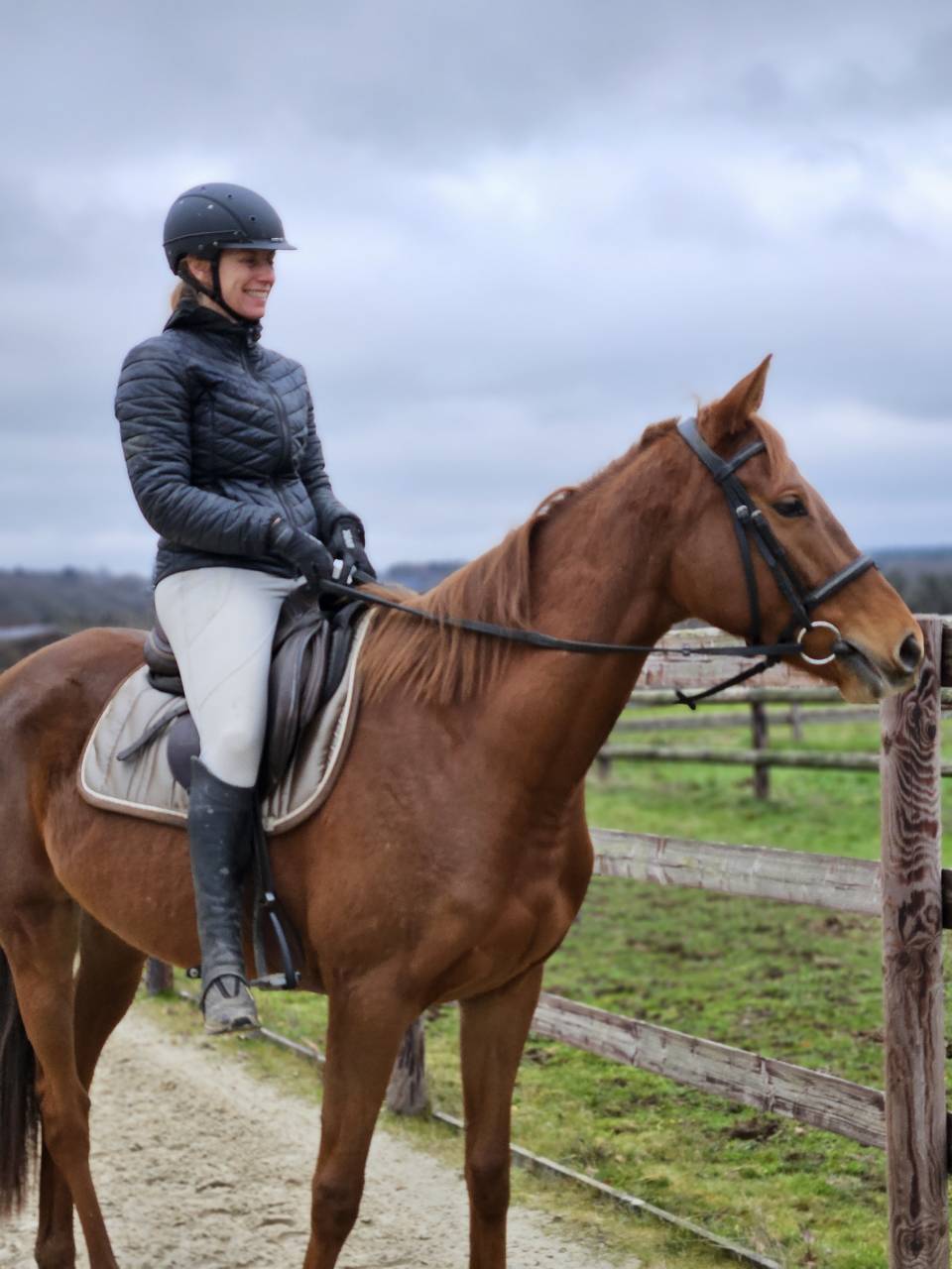 Jument AQPS 4ans 160cm - sport et loisir