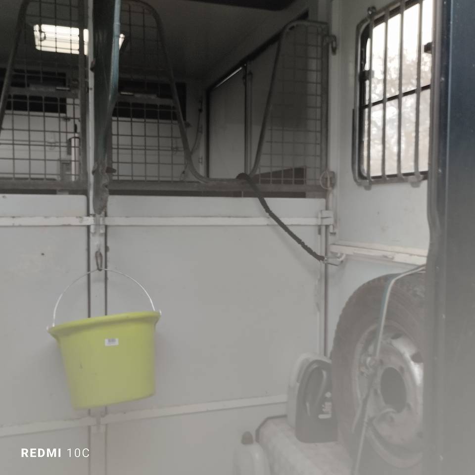 Camion VL Renault Master t35 