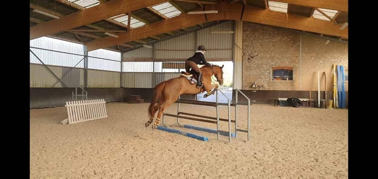 Poulini&egrave;re SBS de 2011