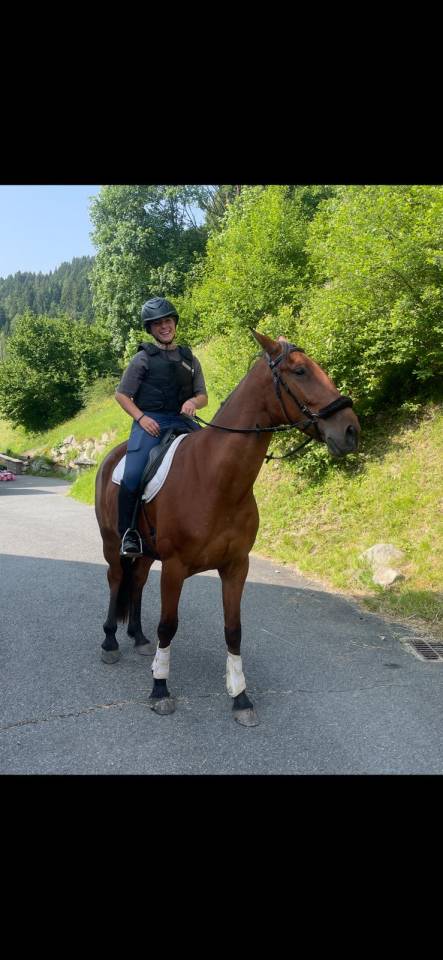 Trotteur fran&ccedil;ais de 5 ans 