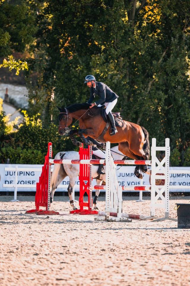 A VENDRE - Jument Oldenburger 13 ans