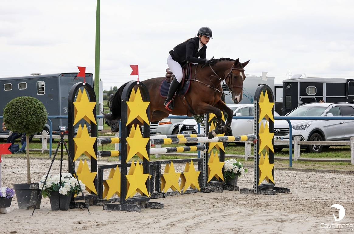 jument de 11 ans &agrave; vendre