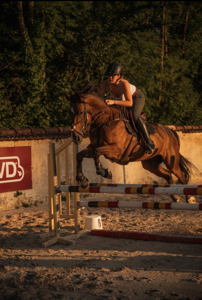 jument de 11 ans &agrave; vendre