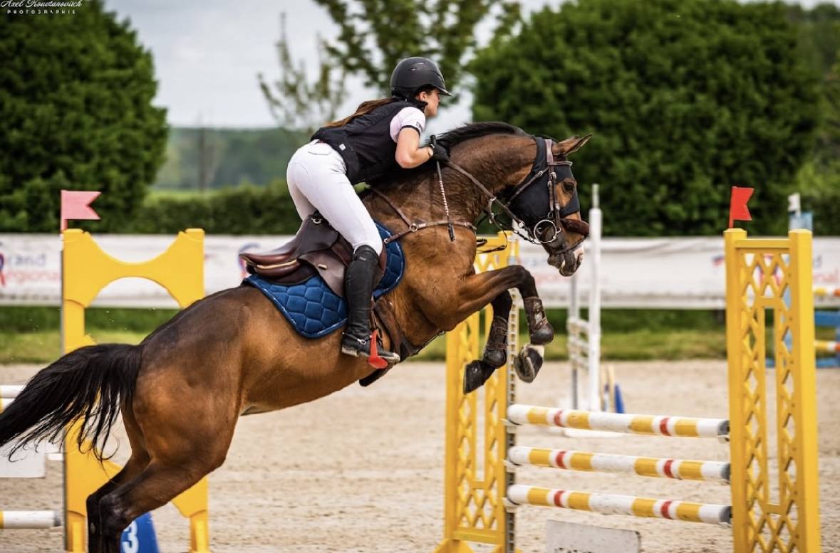 jument de 11 ans &agrave; vendre