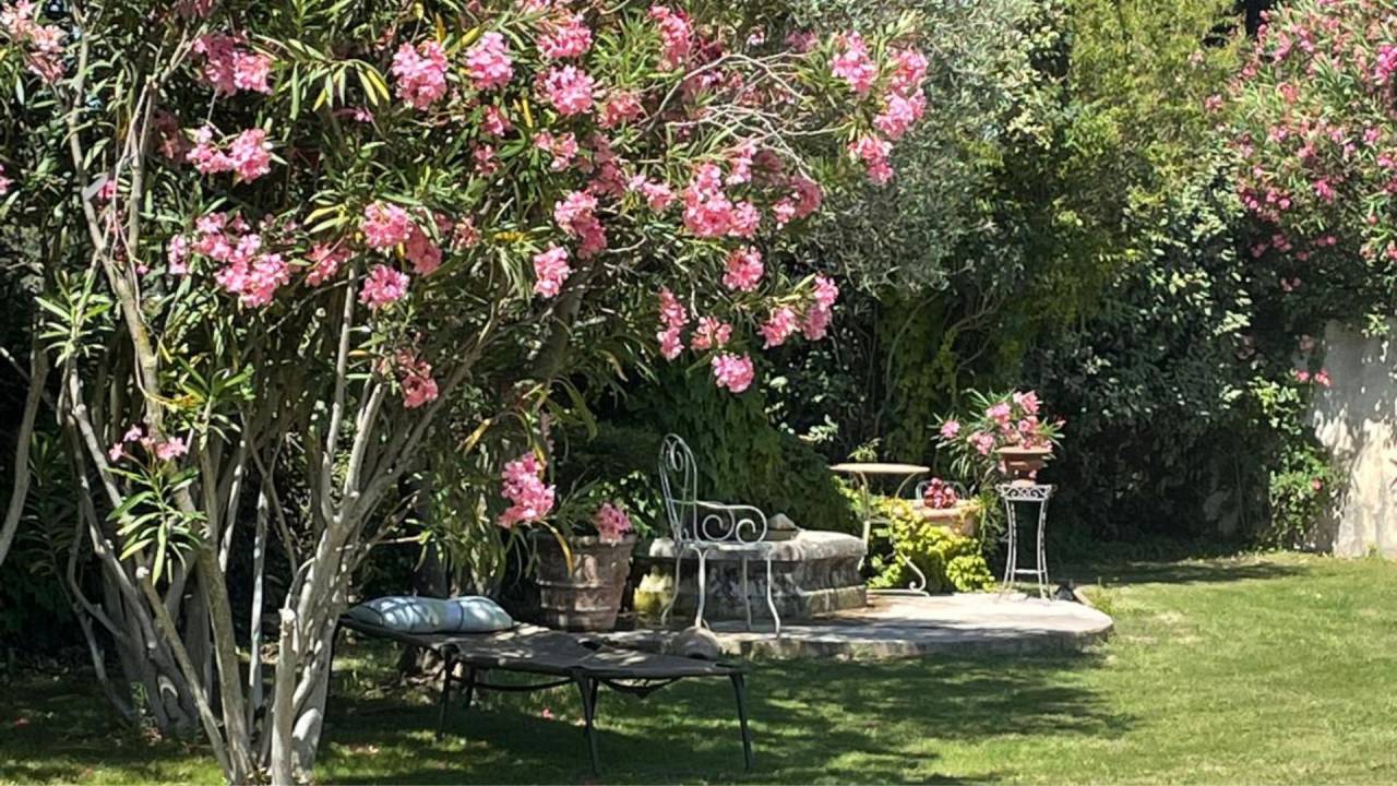 Au pied des Alpilles : mas de charme avec installations