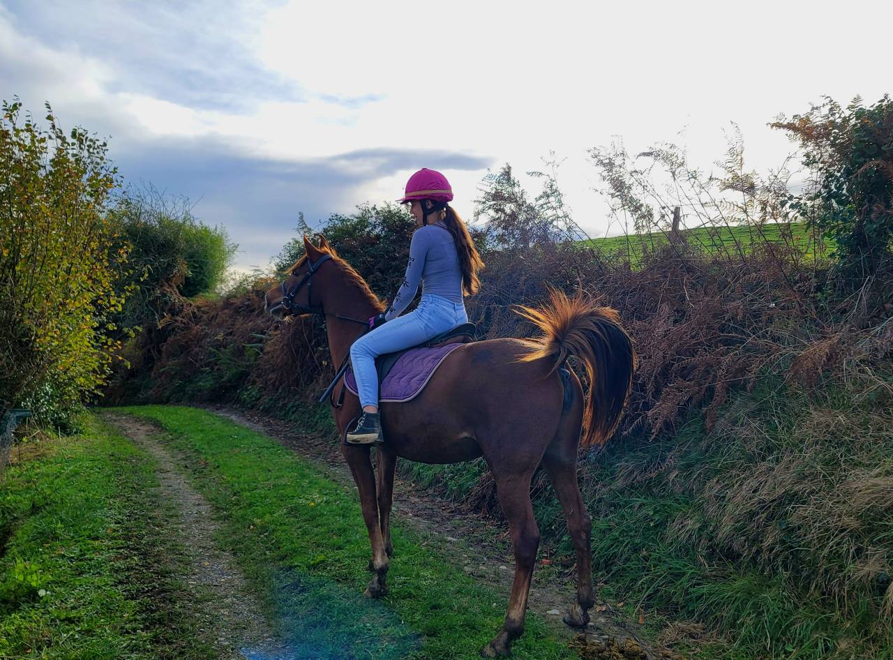 Jument PSAR 3/4 &eacute;gyptienne