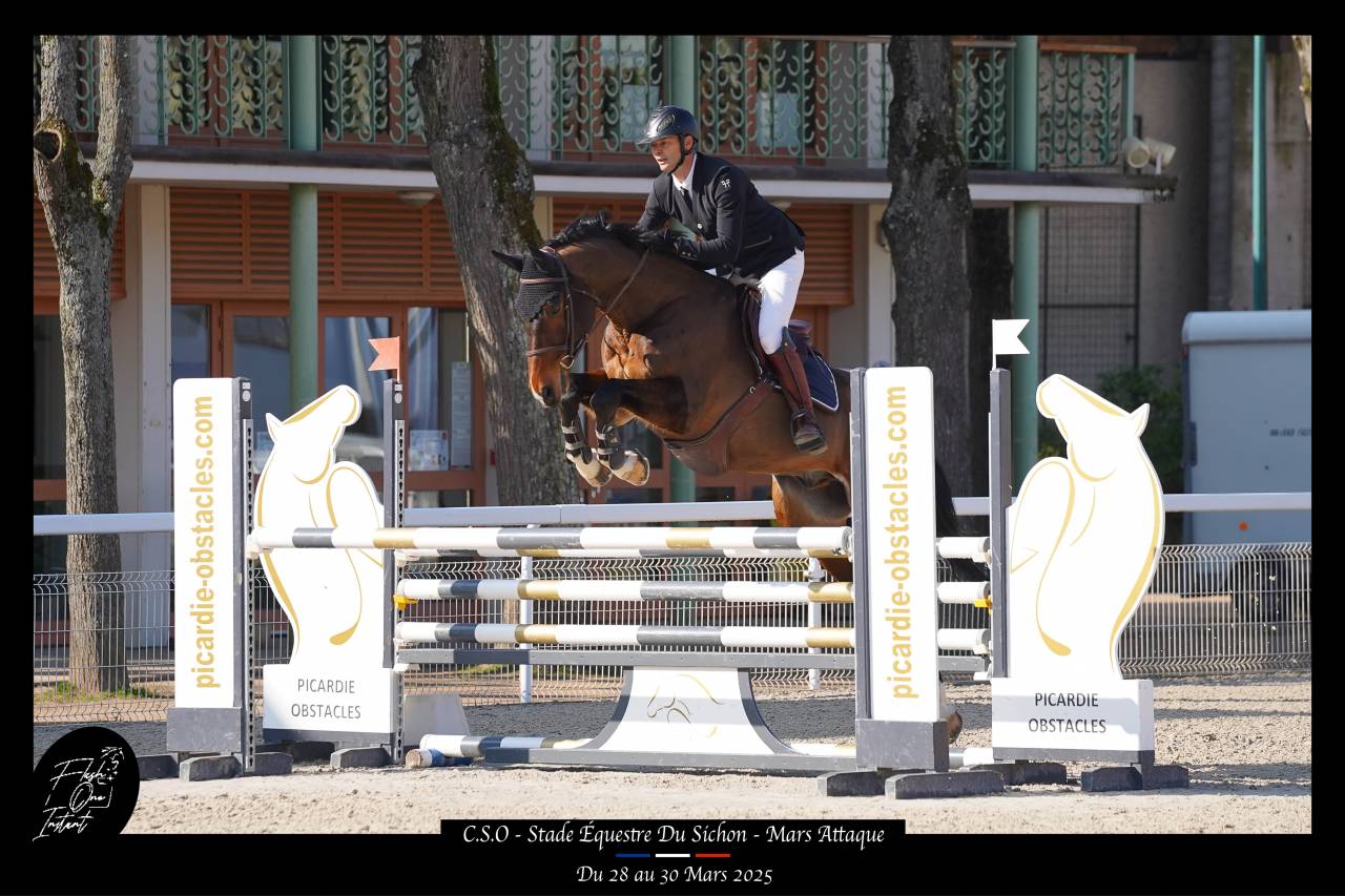 CHEVAL DE CSO 15 ANS