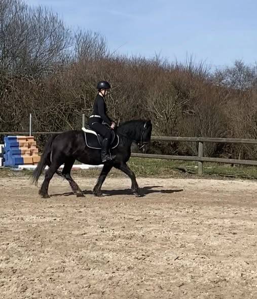 ponette merens 6 ans en 2026