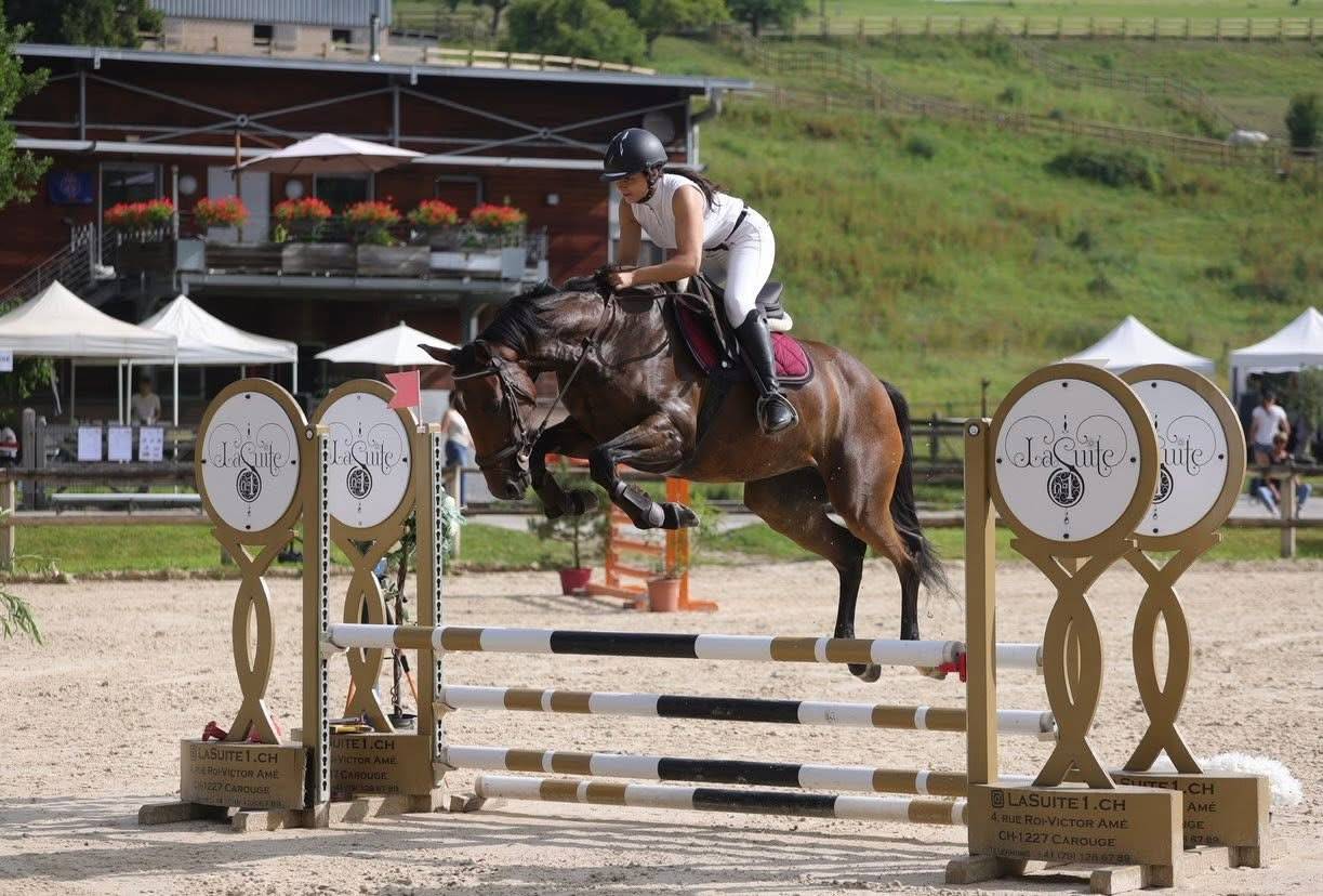 Jument selle fran&ccedil;aise qui fait 7 ans 