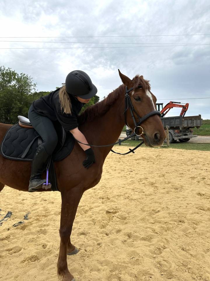 Cheval TF &agrave; vendre 