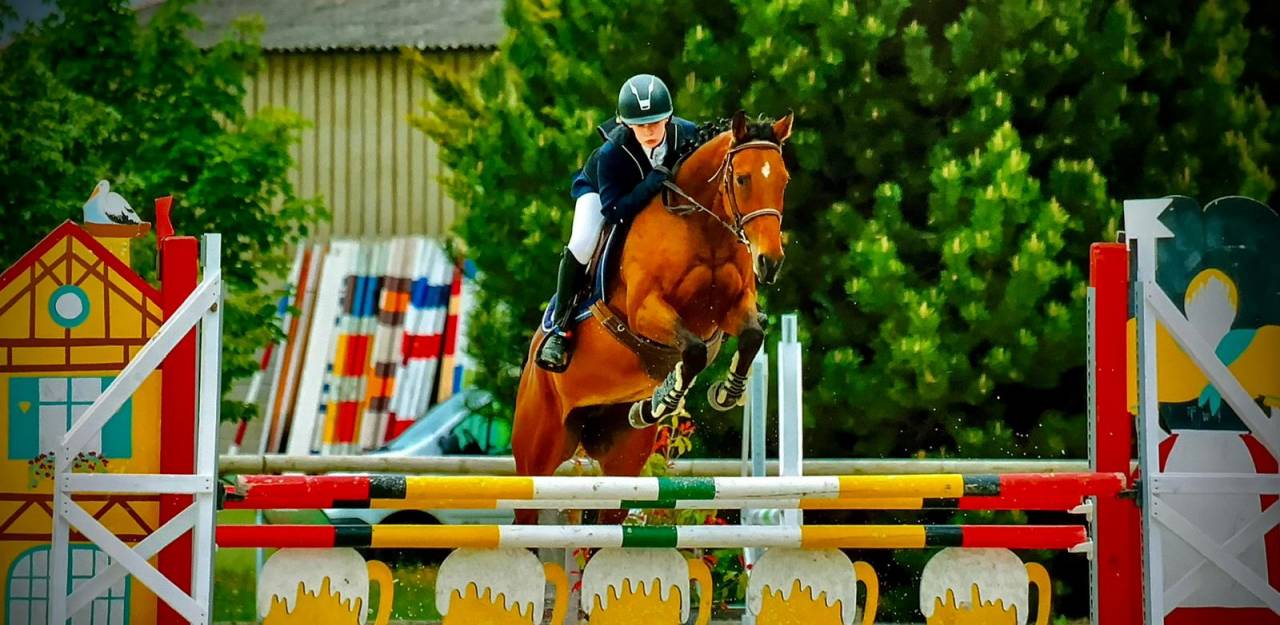 Jument PS 9ans (2026) 