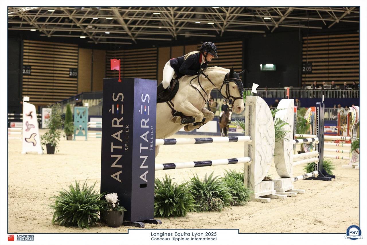 Saillie &eacute;talon PP Connemara