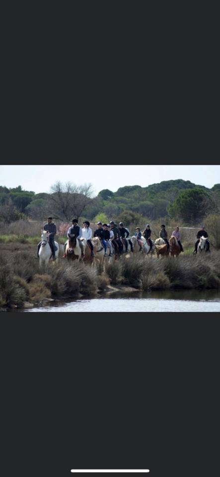 Recherche poste de palefrenier ou de responsable