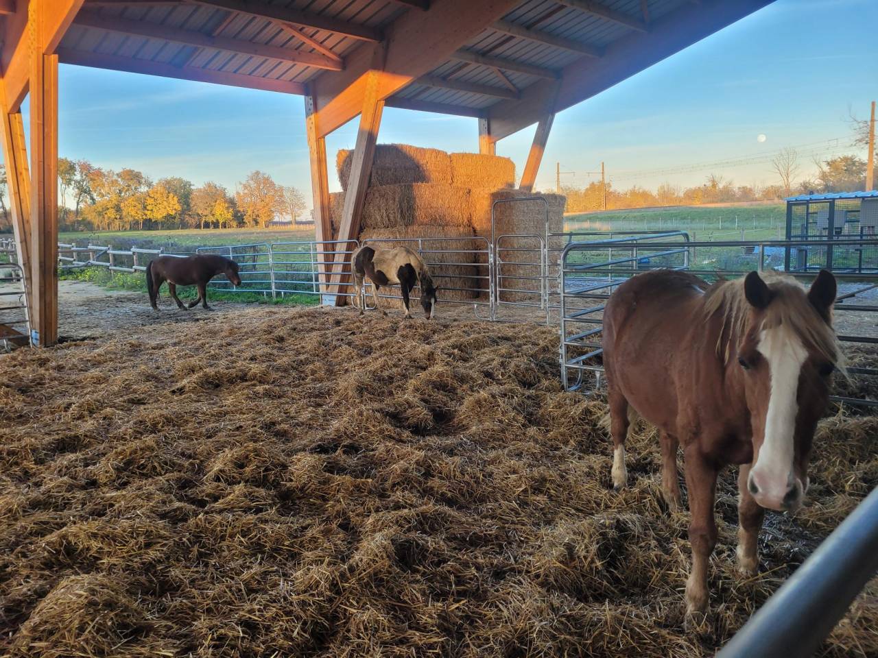 Pension &eacute;curie dynamique