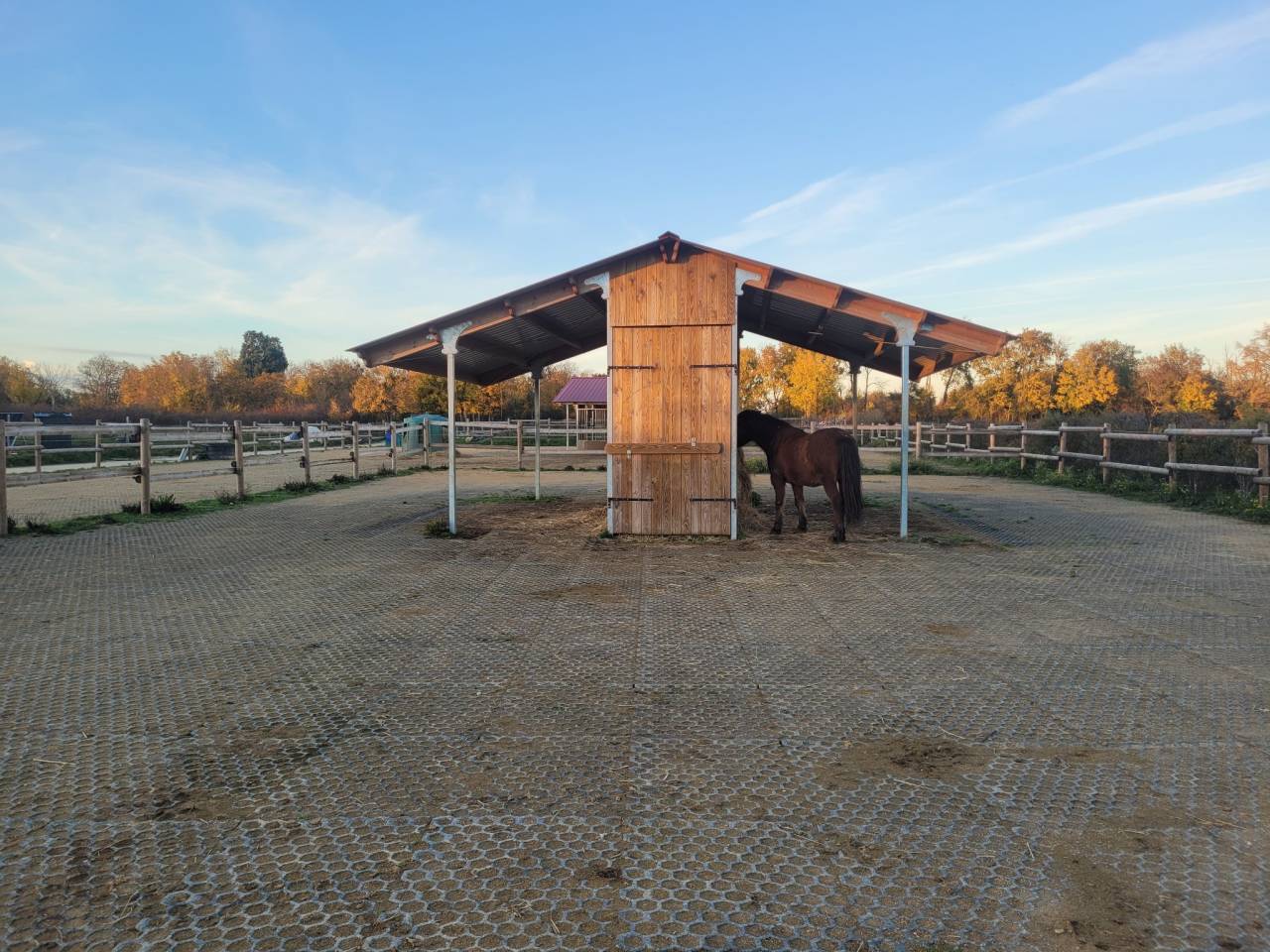 Pension &eacute;curie dynamique