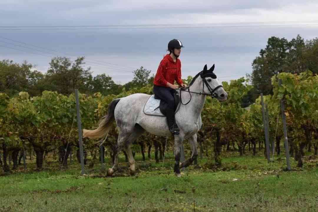 demi pension - D&eacute;esse des Romagnes - Porge (33)