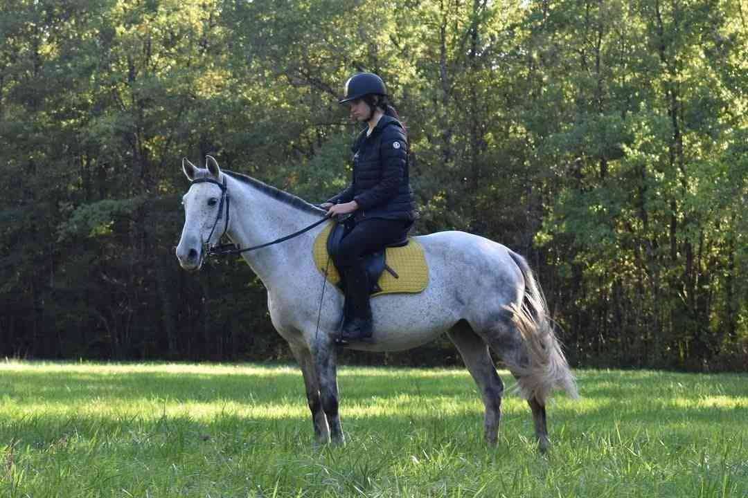 demi pension - D&eacute;esse des Romagnes - Porge (33)