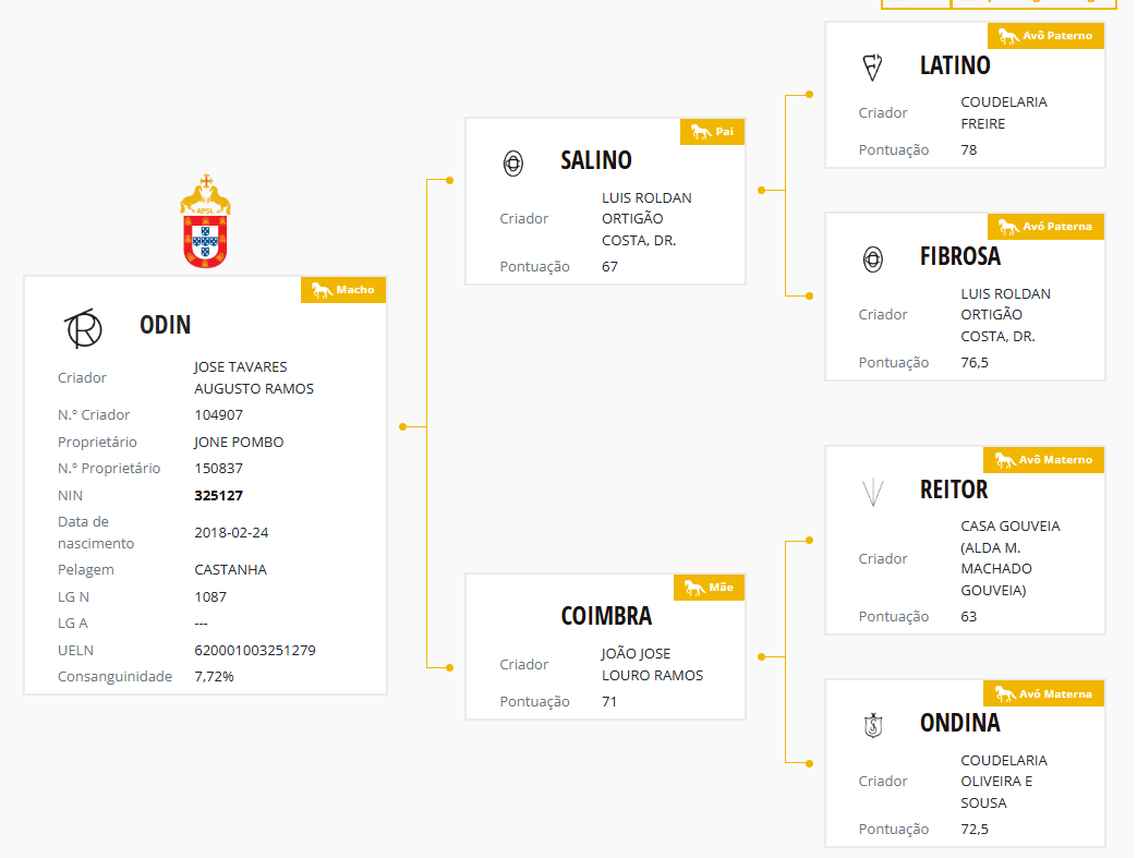 Nouveau cavalier(e) pour Odin
