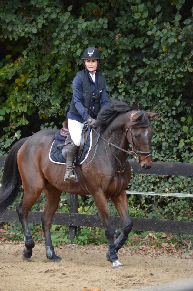 Cheval de loisirs ou sport 