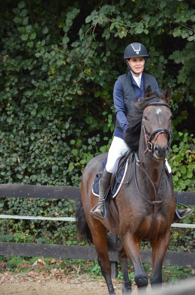 Cheval de loisirs ou sport 