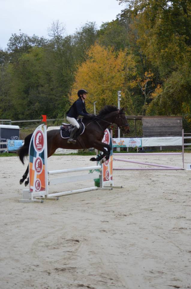 Cheval de loisirs ou sport 