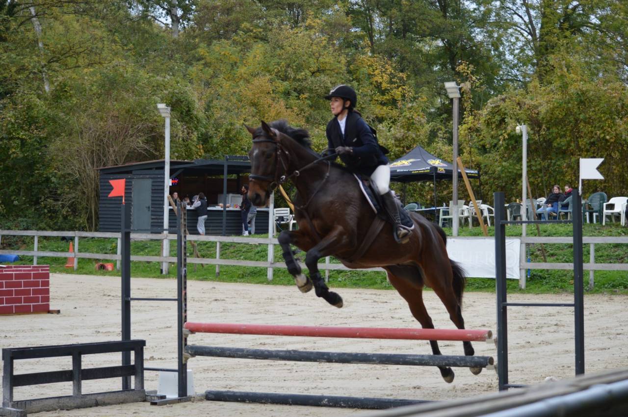 Cheval de loisirs ou sport 