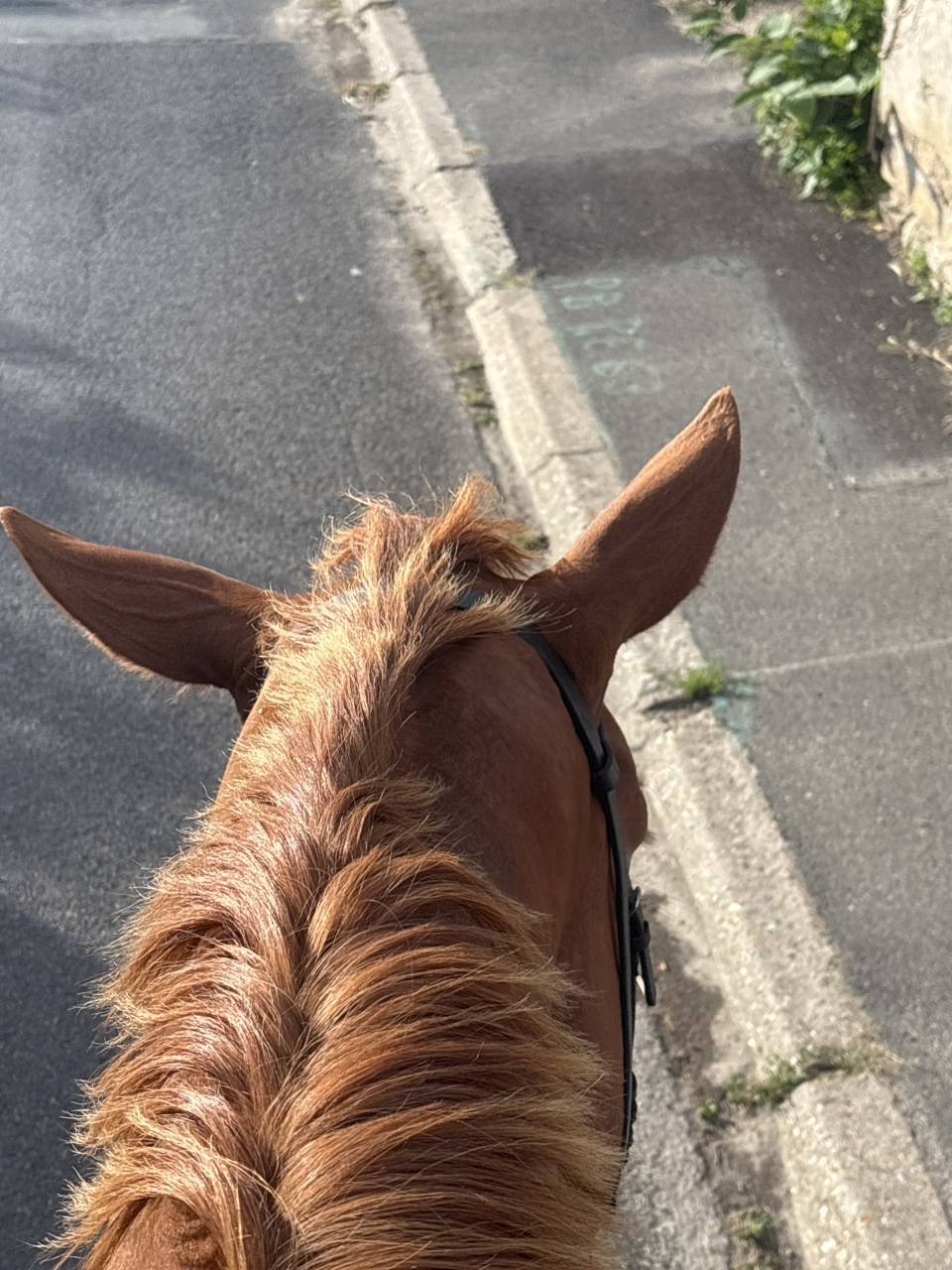 Demi pension TF 4 ans 