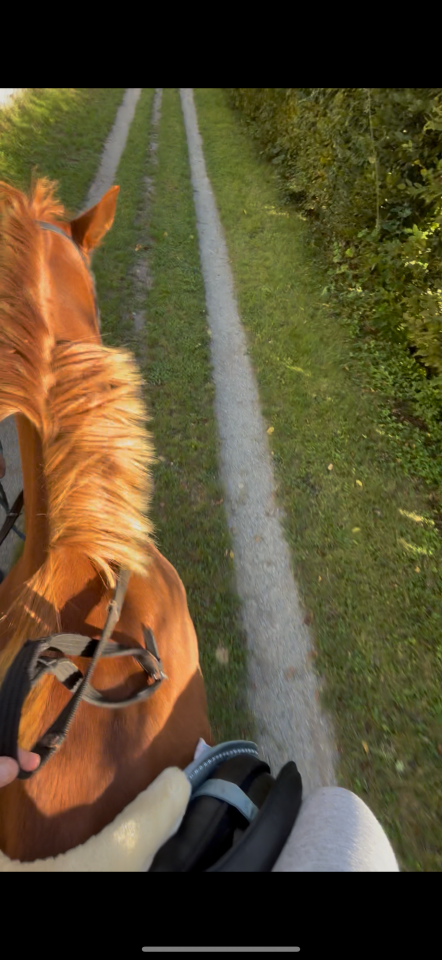 Demi pension TF 4 ans 