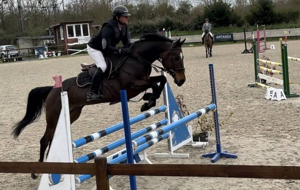 Magnifique jument amateur 