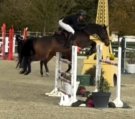 Jument 8 ans potentiel 140 ou plus