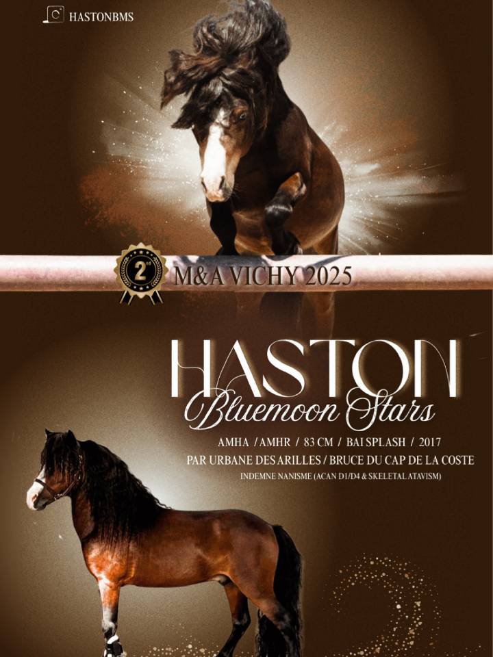 SAILLIE AMHA VICE CHAMPION DE FRANCE 