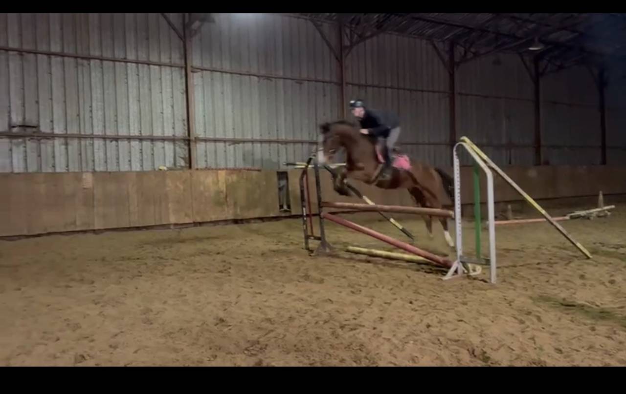 Top 4 ans grosses origines 