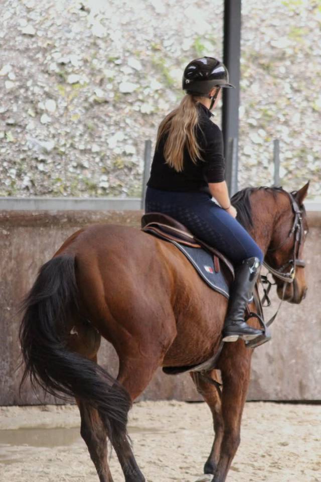 Cavalier soigneur et autre 