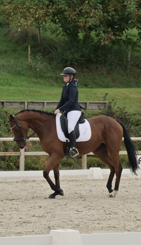 Cavalier soigneur et autre 