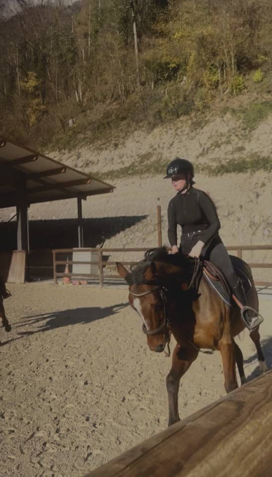 Cavalier soigneur et autre 