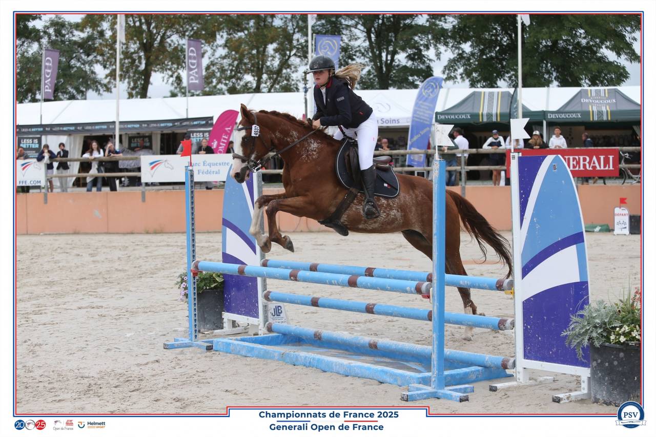 Cavalier soigneur et autre 