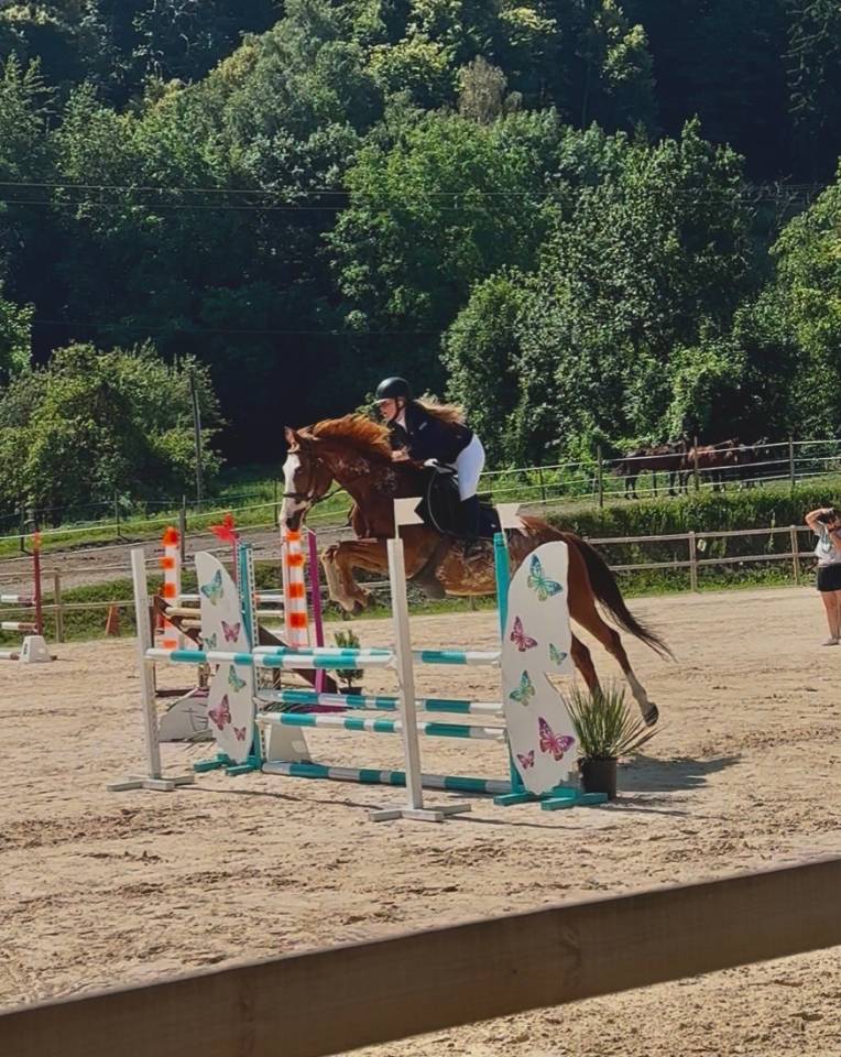 Cavalier soigneur et autre 