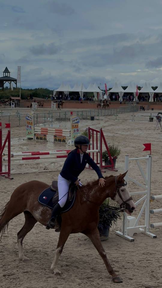 Cavalier soigneur et autre 