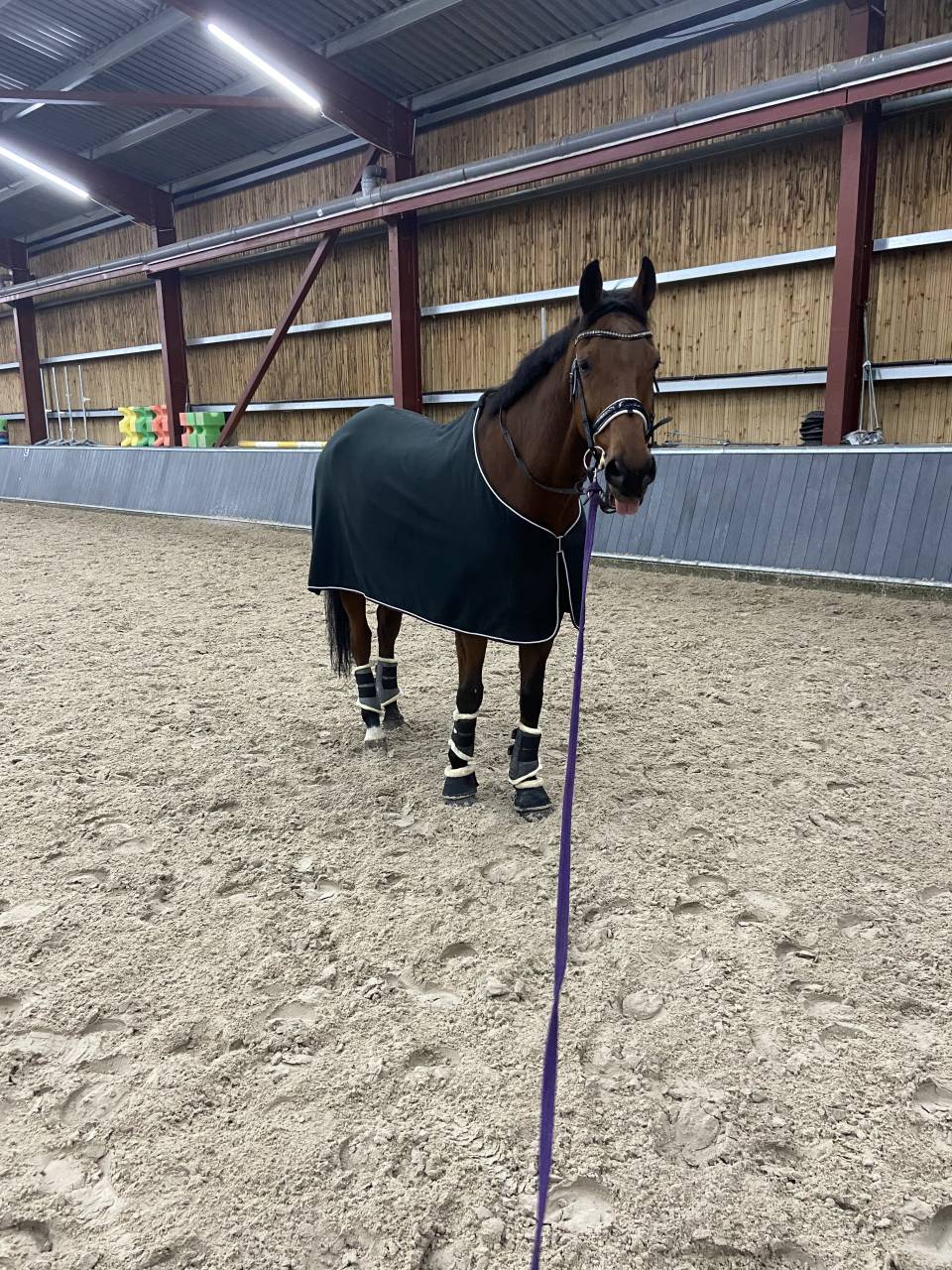 Demi pension 3 &agrave; 5 jours/semaine