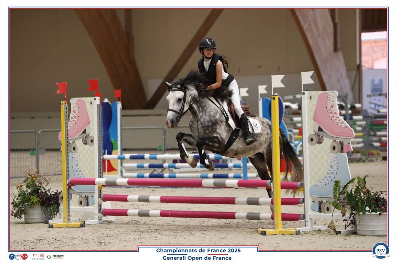 Poney de famille id&eacute;al pour enfant