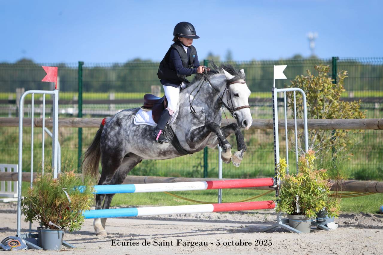 Poney de famille id&eacute;al pour enfant