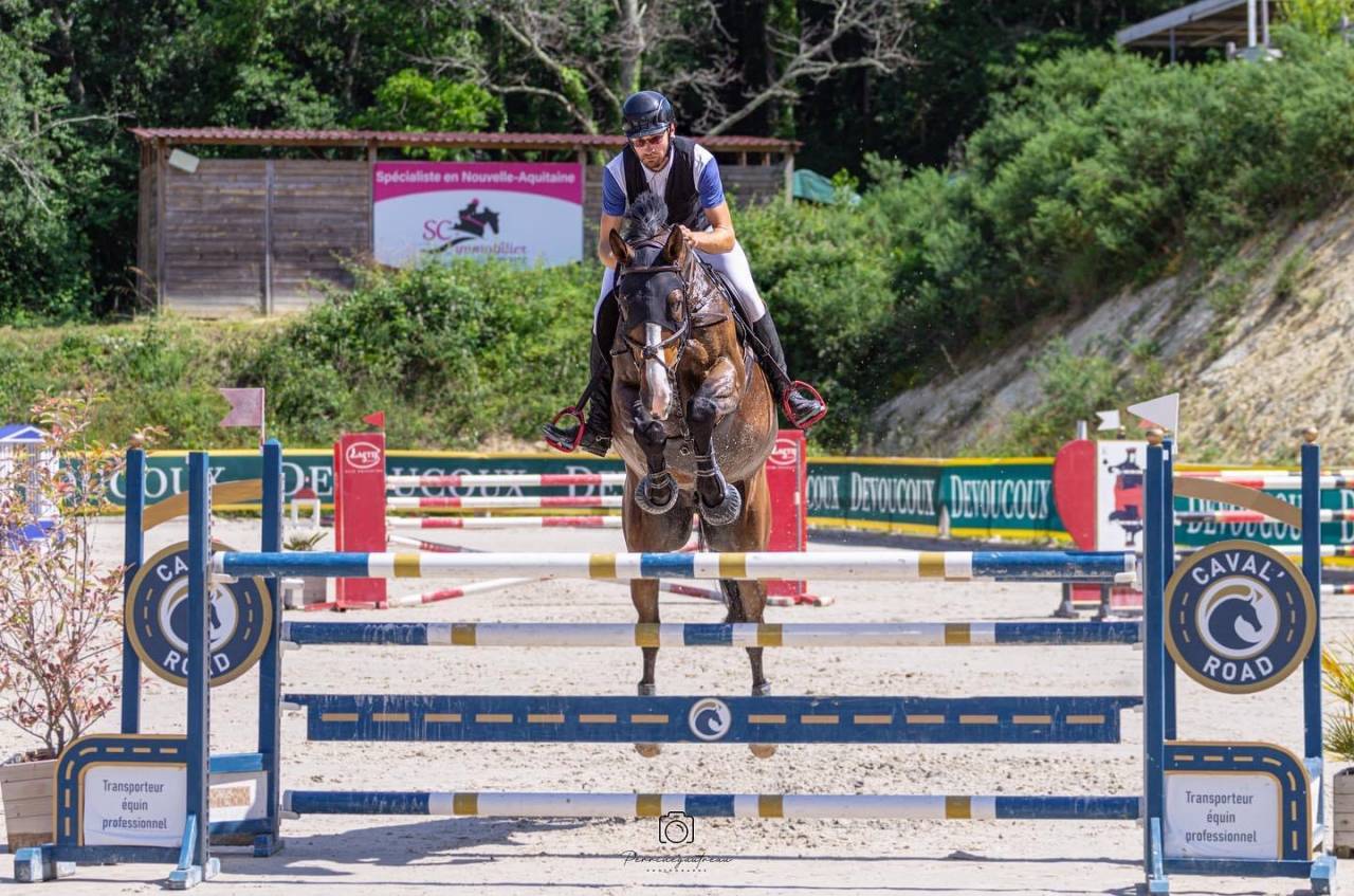 Chevaux & Poneys &agrave; vendre