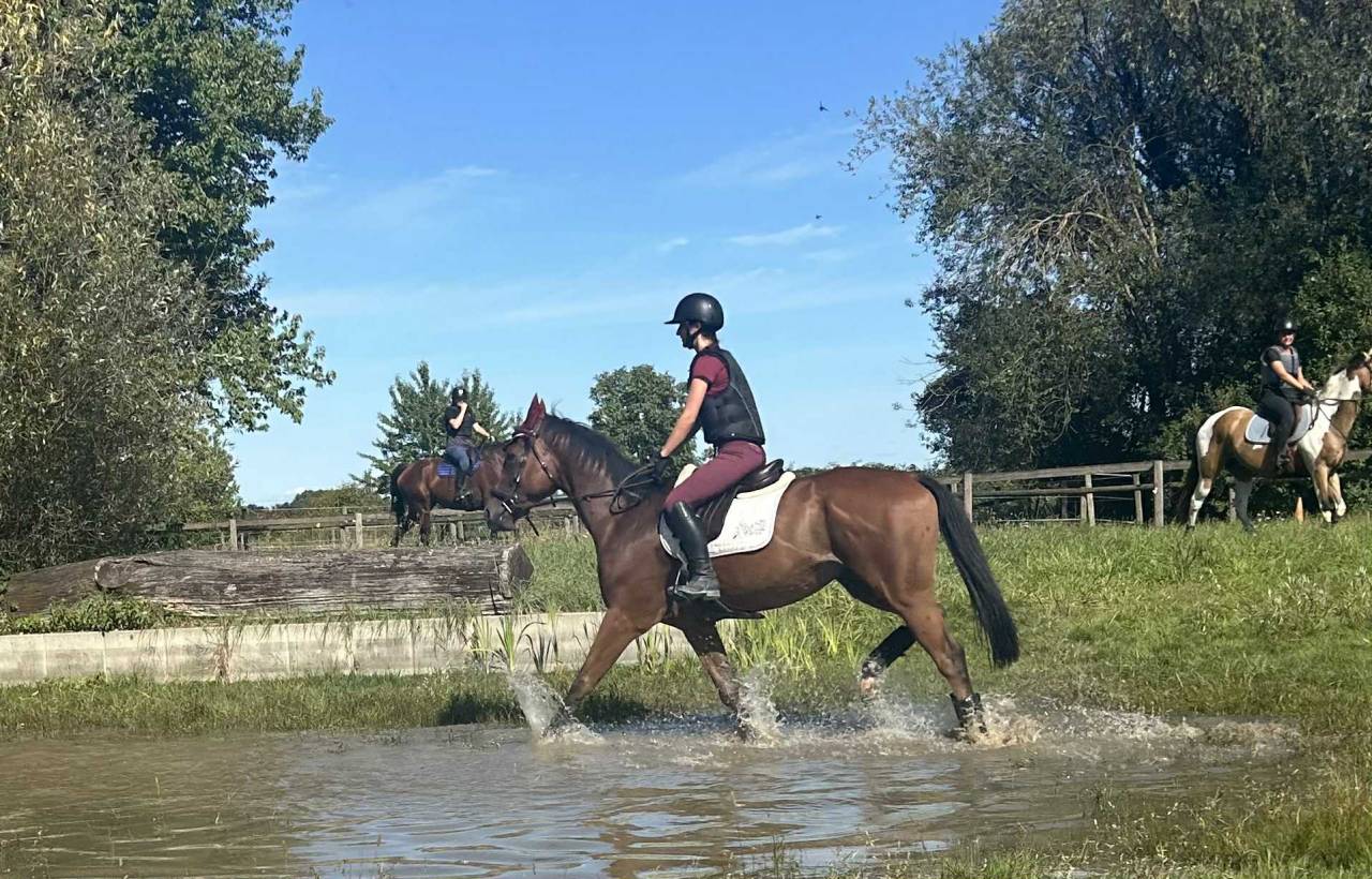 Adorable cheval 4 ans Polyvalent G4