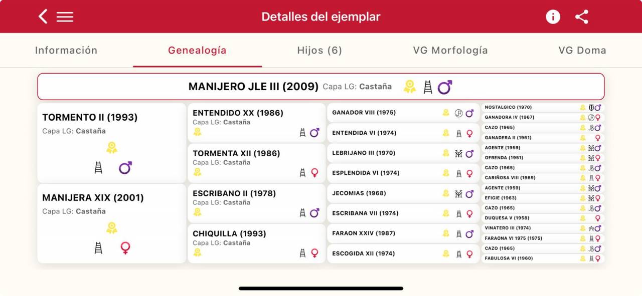 A vendre pouliche PRE de bient&ocirc;t 2 ans