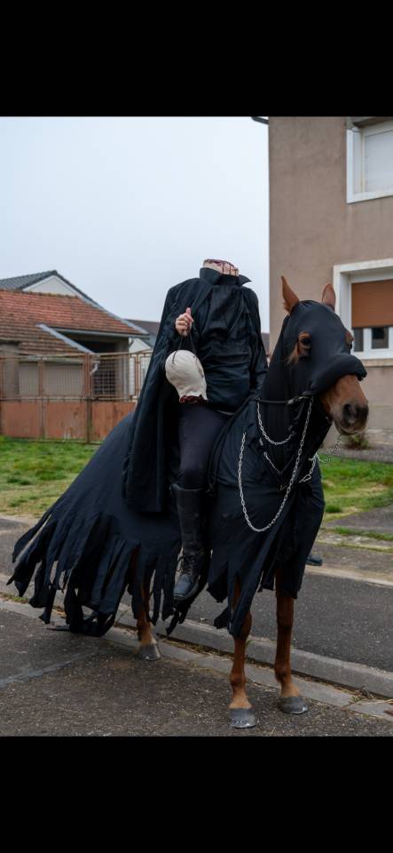 Jolie petite jument de loisir/randonn&eacute;e 10ans &agrave; vendre 